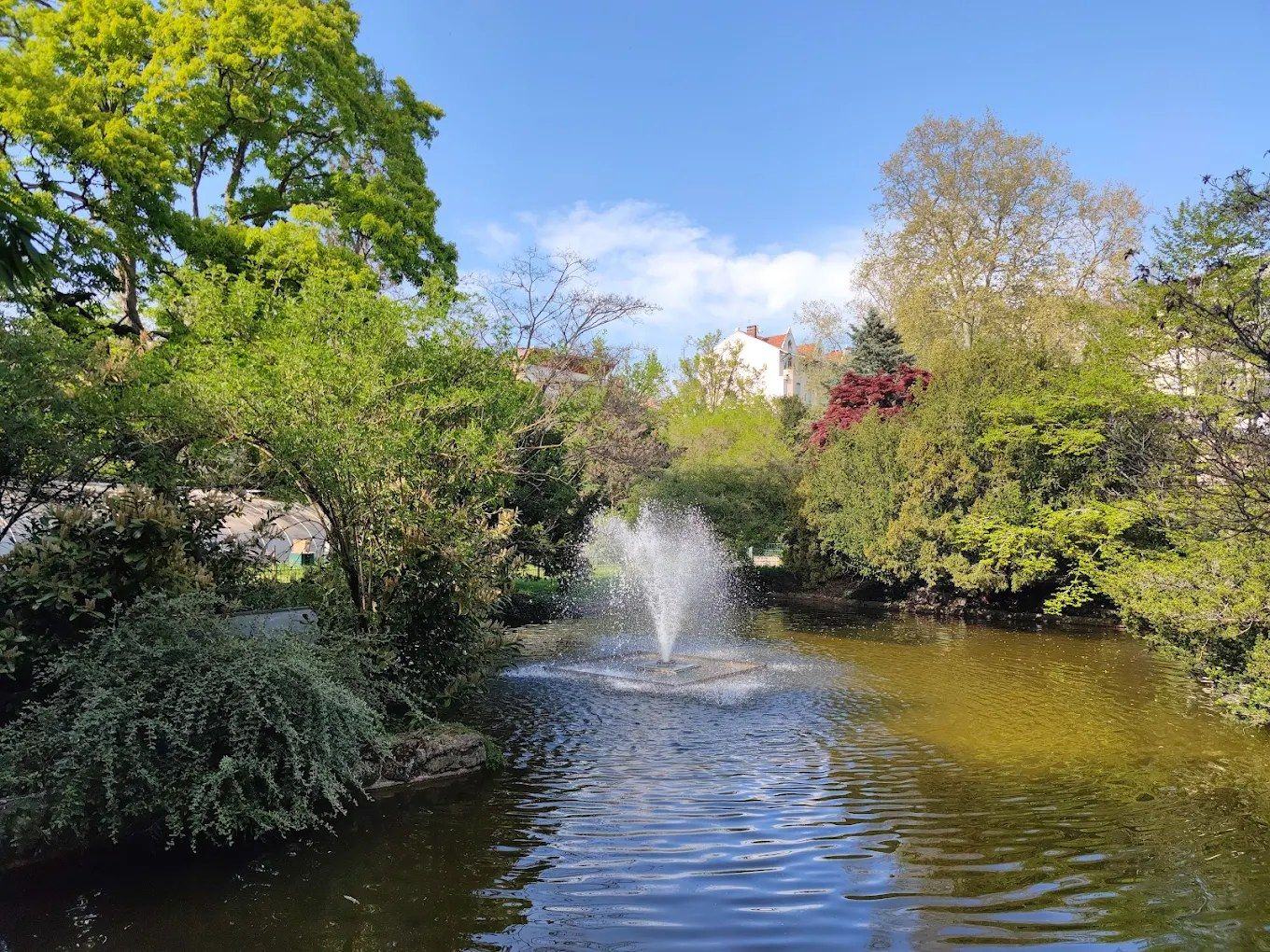 A park in Vichy: a fountain playing on a still pond, fresh green trees along both banks and rooftops showing above them.
